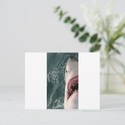 Weißer Hai Postkarte (Stehend Vorderseite)