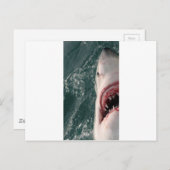 Weißer Hai Postkarte (Vorne/Hinten)