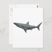 Weißer Hai Postkarte (Vorne/Hinten)