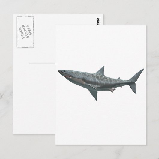 Weißer Hai Postkarte (Vorne/Hinten)