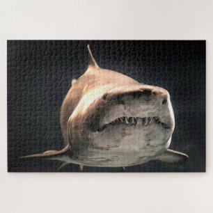 Weißer Hai Puzzle