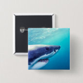 Weißer Hai | Südafrika Button (Vorne & Hinten)