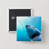 Weißer Hai | Südafrika Button (Vorne & Hinten)