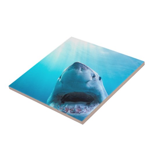 Weißer Hai | Südafrika Fliese (Seite)