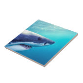 Weißer Hai | Südafrika Fliese (Seite)