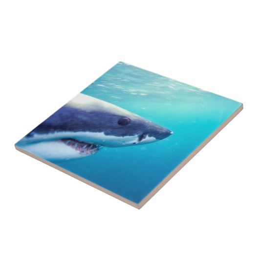 Weißer Hai | Südafrika Fliese (Seite)