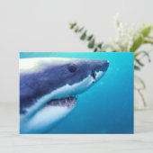 Weißer Hai | Südafrika Karte (Stehend Vorderseite)