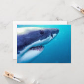 Weißer Hai | Südafrika Karte (Vorderseite/Rückseite Beispiel)