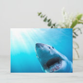 Weißer Hai | Südafrika Karte (Stehend Vorderseite)