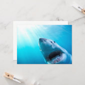 Weißer Hai | Südafrika Karte (Vorderseite/Rückseite Beispiel)