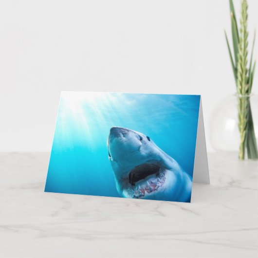 Weißer Hai| Südafrika Karte (Vorderseite)