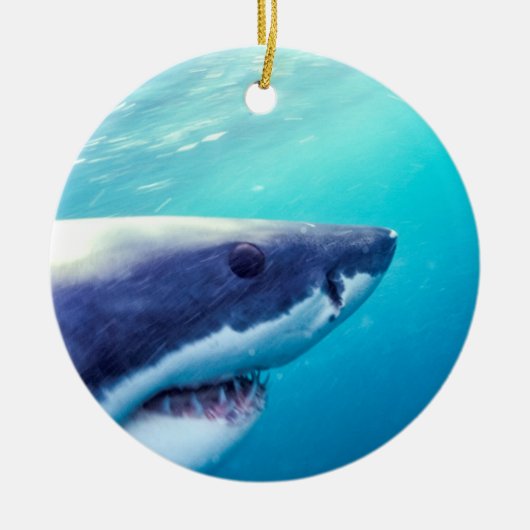 Weißer Hai | Südafrika Keramik Ornament (Vorne)