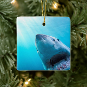 Weißer Hai Südafrika Keramikornament