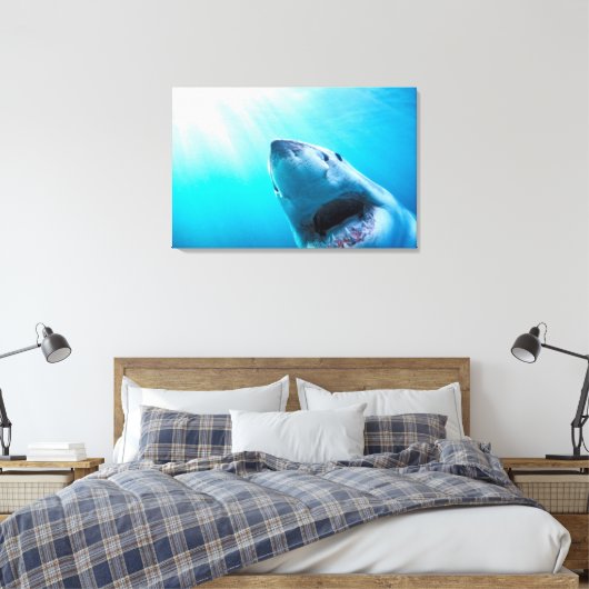 Weißer Hai | Südafrika Leinwanddruck (Insitu (Schlafzimmer))