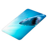 Weißer Hai | Südafrika Magnet (Linke Seite)