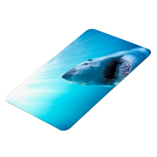 Weißer Hai | Südafrika Magnet (Linke Seite)