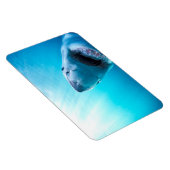 Weißer Hai | Südafrika Magnet (Rechte Seite)