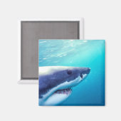 Weißer Hai | Südafrika Magnet (Vorderseite/Rückseite)