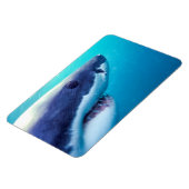 Weißer Hai | Südafrika Magnet (Linke Seite)