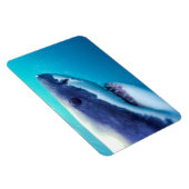 Weißer Hai | Südafrika Magnet (Rechte Seite)