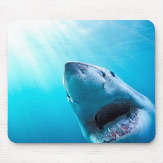 Weißer Hai | Südafrika Mousepad (Vorne)