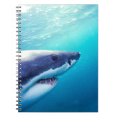 Weißer Hai | Südafrika Notizblock (Vorderseite)
