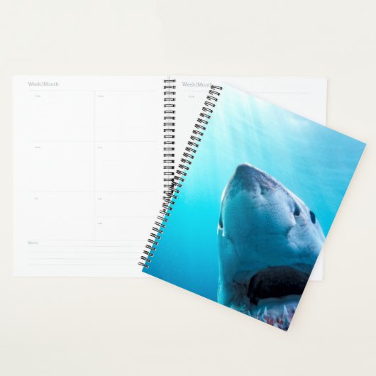 Weißer Hai | Südafrika Planer (Anzeige)