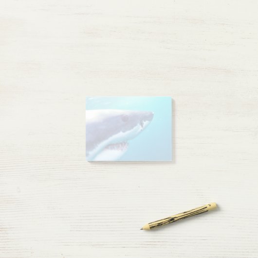 Weißer Hai | Südafrika Post-it Klebezettel (Auf Schreibtisch)