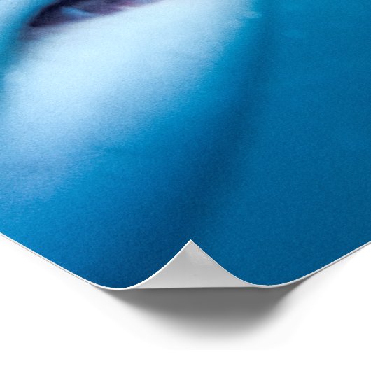 Weißer Hai | Südafrika Poster (Ecke)