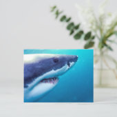 Weißer Hai | Südafrika Postkarte (Stehend Vorderseite)