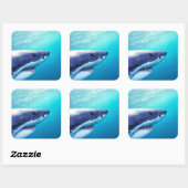 Weißer Hai | Südafrika Quadratischer Aufkleber (Blatt)