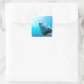 Weißer Hai | Südafrika Quadratischer Aufkleber (Tasche)