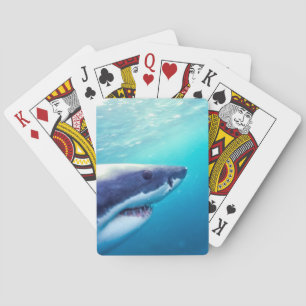 Weißer Hai Südafrika Spielkarten