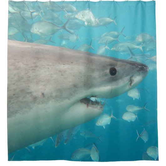 Weißer Hai Unterwasser-Portrait Nah Duschvorhang (Vorderseite)