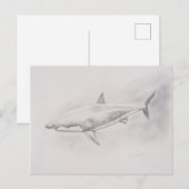 Weißer Hai Zeichnend Postkarte (Vorne/Hinten)