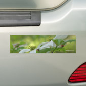 Weißer Hartriegel-Blumen-Foto-Autoaufkleber Autoaufkleber (Auf Auto)