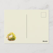 Weißer Hase und Blume Postkarte (Rückseite)