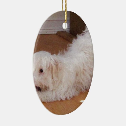 Weißer Havanese Welpe, der mit rotem Ball spielt Keramikornament (Rechts)