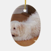 Weißer Havanese Welpe, der mit rotem Ball spielt Keramikornament (Vorne)