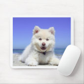 Weißer heiserer Welpe mit blauen Augen Mousepad (Mit Mouse)