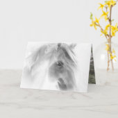 Weißer Hengst - Pferdegrüßkarte Karte (Gelbe Blume)