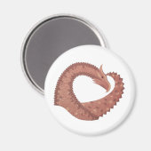 Weißer Herzdrache Magnet (Vorderseite/Rückseite)
