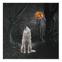 Weißer heulender Wolf Dunkler Wald Mondlicht Wald