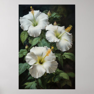 Weißer Hibiskus-Blumen-Kunstposter Poster