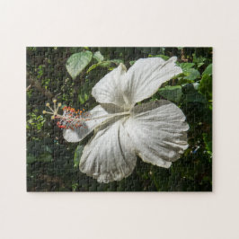 Weißer Hibiskus | Friedliche Natur Puzzle