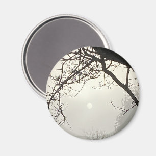Weißer Himmel und Sonne dramatisch von Bäumen gera Magnet