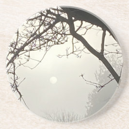 Weißer Himmel und Sonne sind von Bäumen dramatisch Getränkeuntersetzer