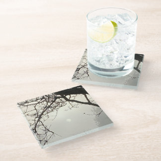 Weißer Himmel und Sonne sind von Bäumen dramatisch Glasuntersetzer