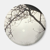 Weißer Himmel und Sonne sind von Bäumen dramatisch Magnet (Vorne)