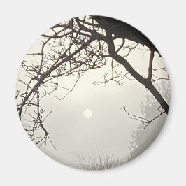 Weißer Himmel und Sonne sind von Bäumen dramatisch Magnet